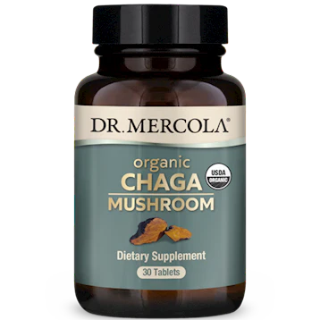 Organic Chaga Mushroom 30 tabs