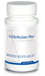SAMethylate Plus - 60 C